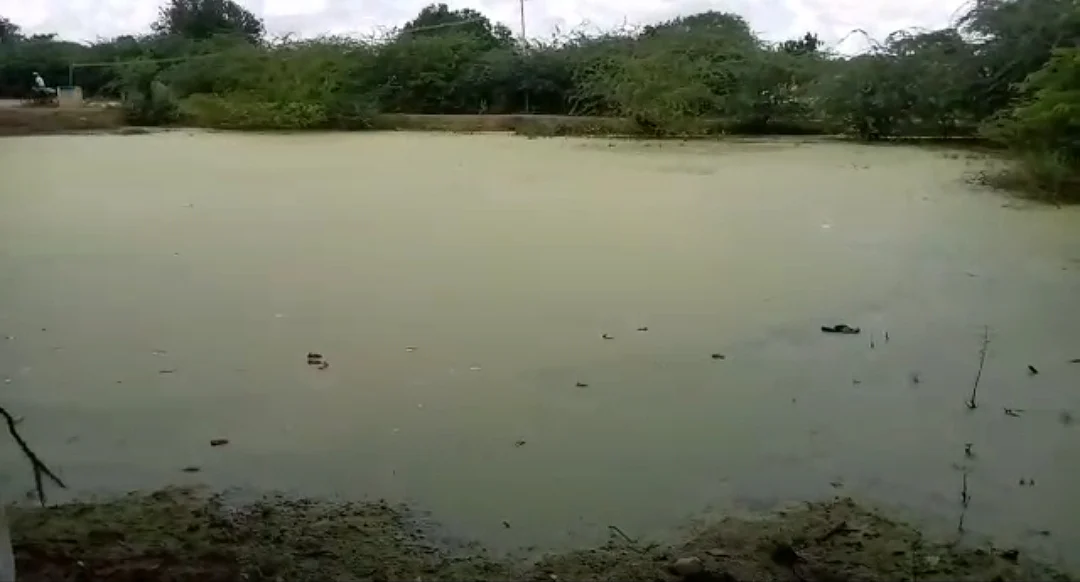 மாசடைந்த குட்டை