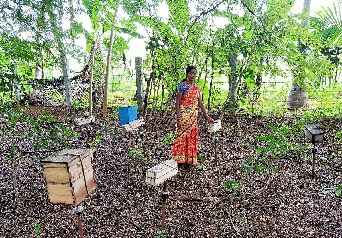 manjula