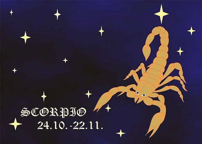 Scorpion