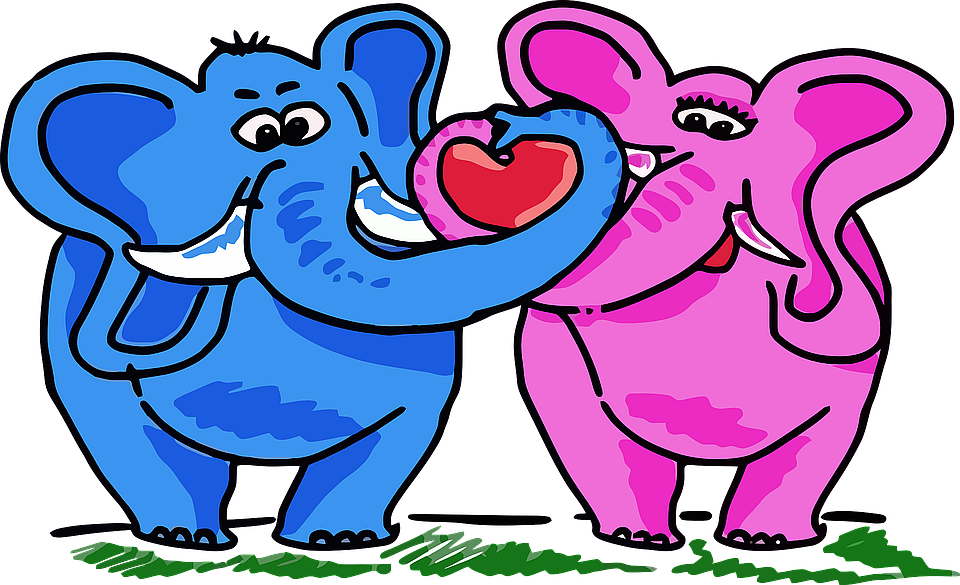 elephant