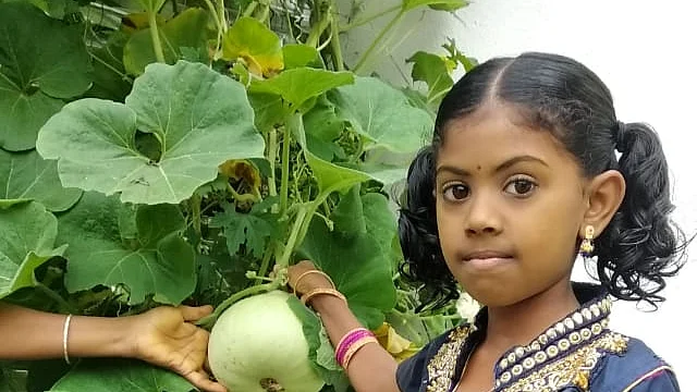 சுரைக்கொடியோடு மோனிகா