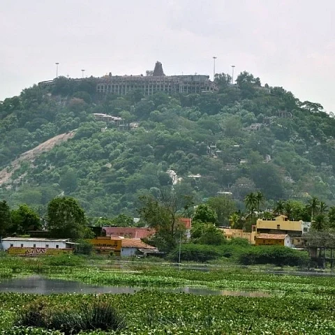 palani temple