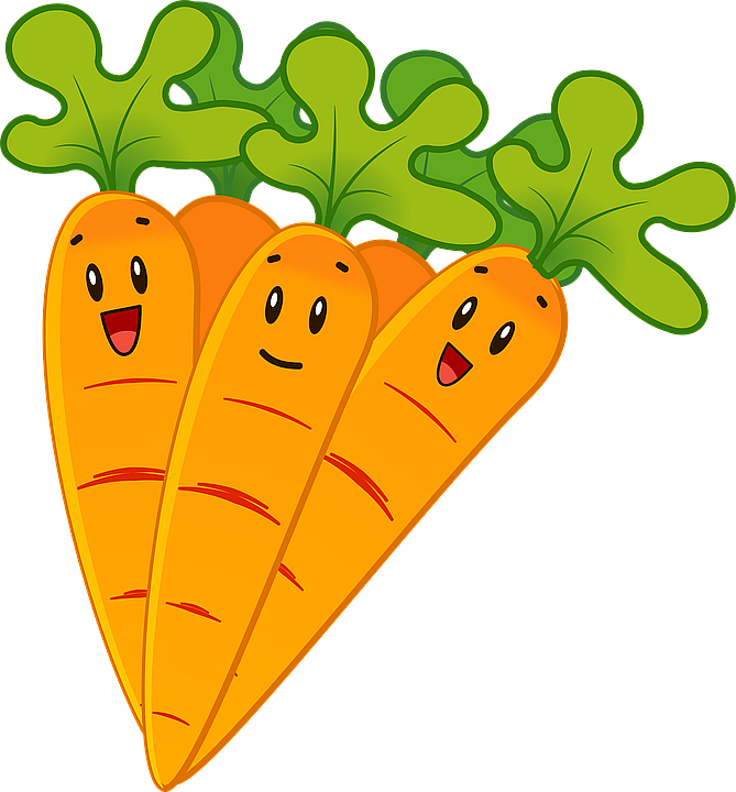 carrot