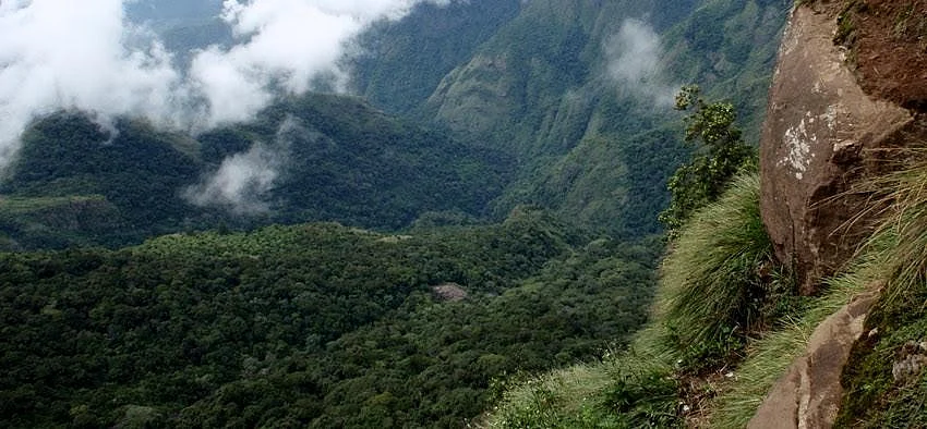 கொடைக்கானல் மலை