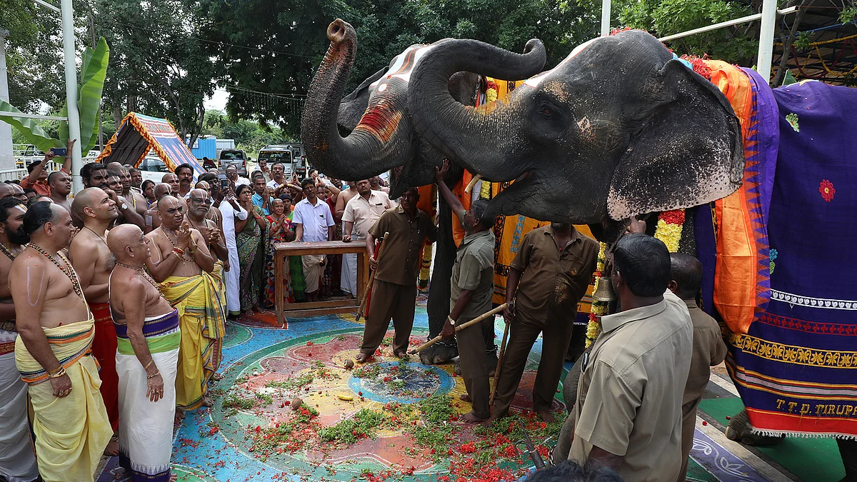 திருப்பதி