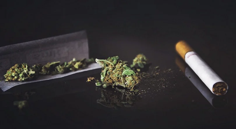 Cannabis