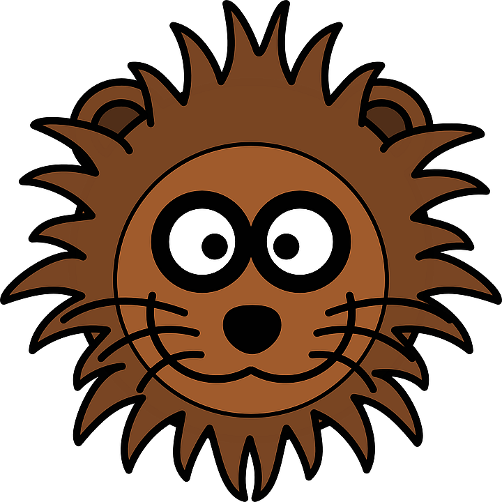 lion
