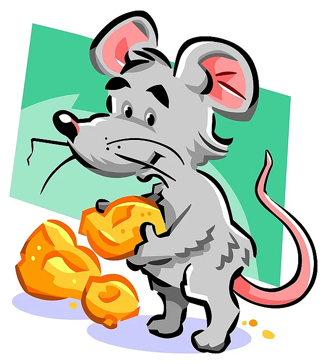 rat