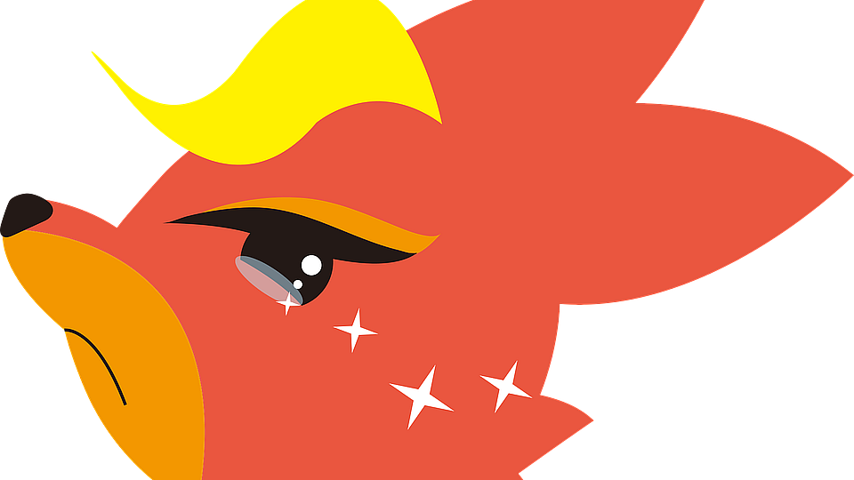 fox