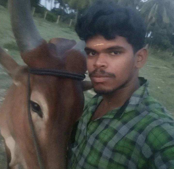 விக்னேஸ்வரன்