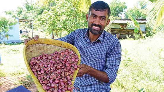 அறுவடை செய்த வெங்காயத்துடன் சுரேஷ்குமார்