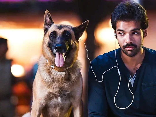 ``மொத்தம் 13 கடி... ஆனா முதல் கடி இருக்கே..!" - சக்தி சௌந்தர் ராஜன்
#5YearsOfNaaigalJaakirathai