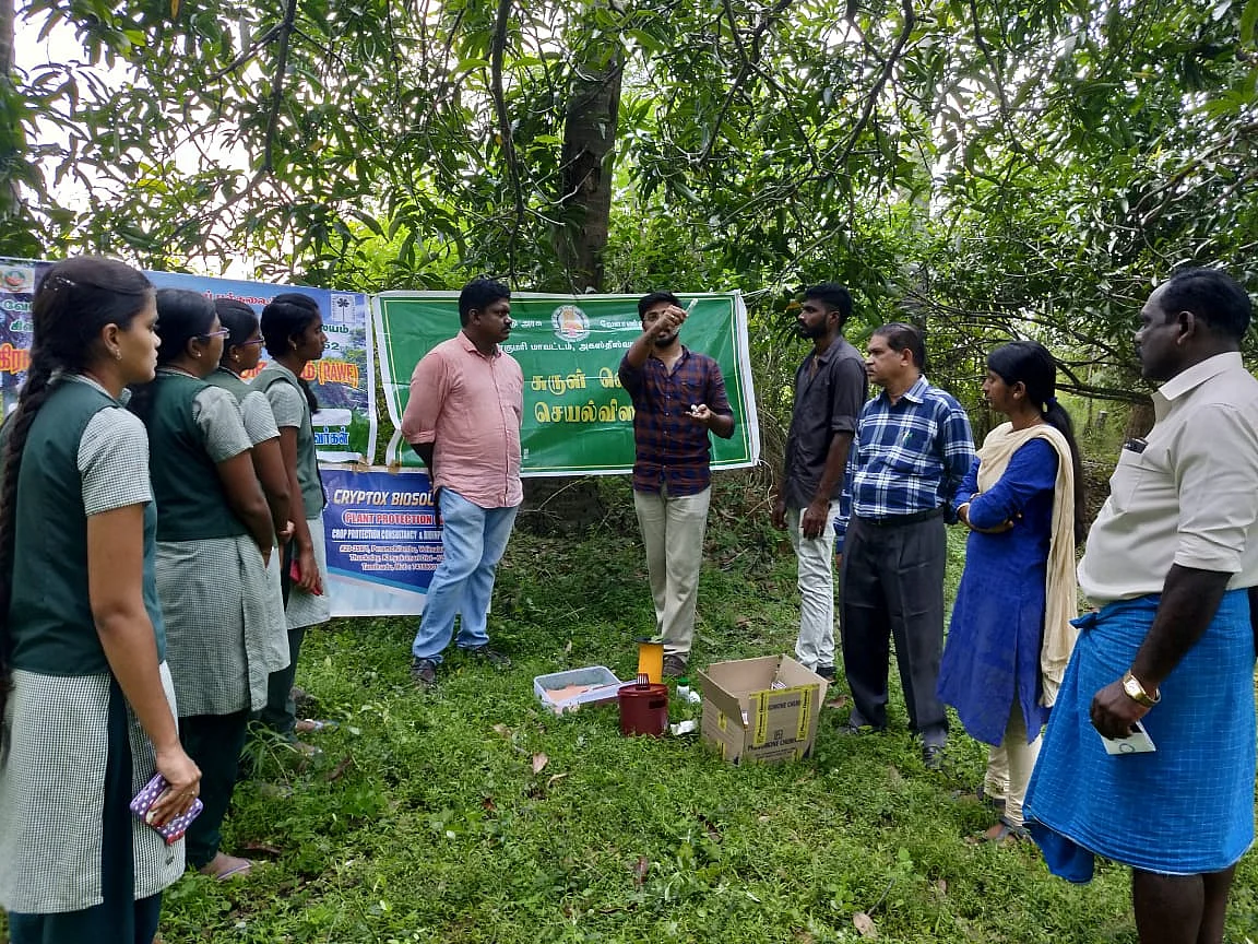 தென்னைகளைக் குறிவைக்கும் ரூகோஸ் சுருள் வெள்ளை ஈக்கள்... இயற்கை முறையில் அழிப்பது எப்படி?