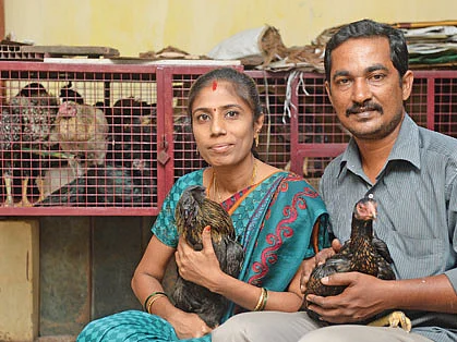 மாதம் 28,000 ரூபாய்... மொட்டை மாடியில் கோழி வளர்ப்பு!