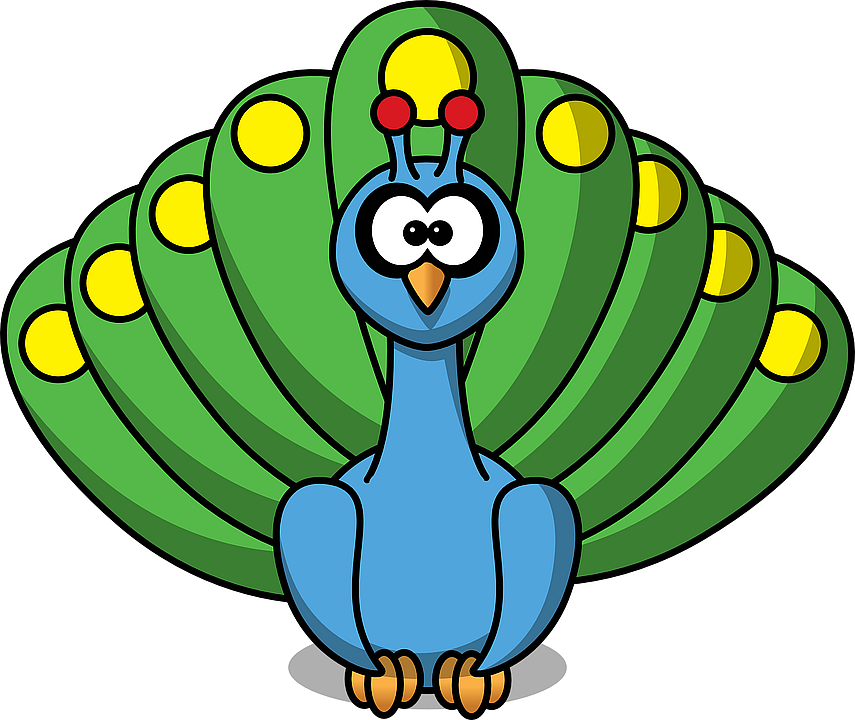 peacock