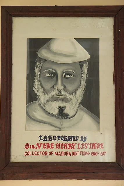 சர் வீர் ஹென்றி லெவின்ஸ்