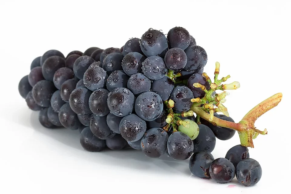 grape