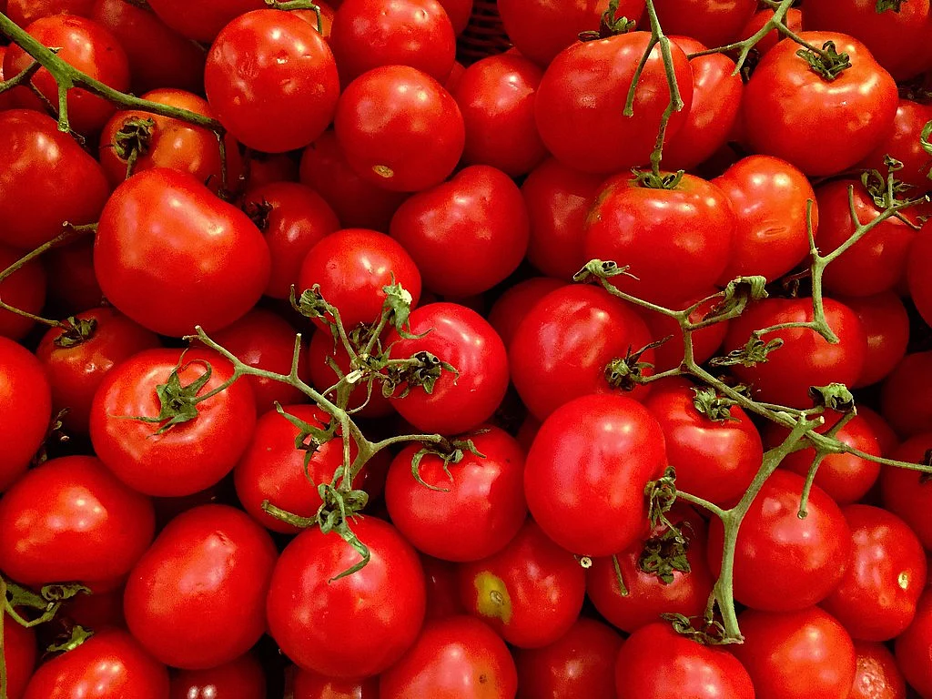 Tomatoes