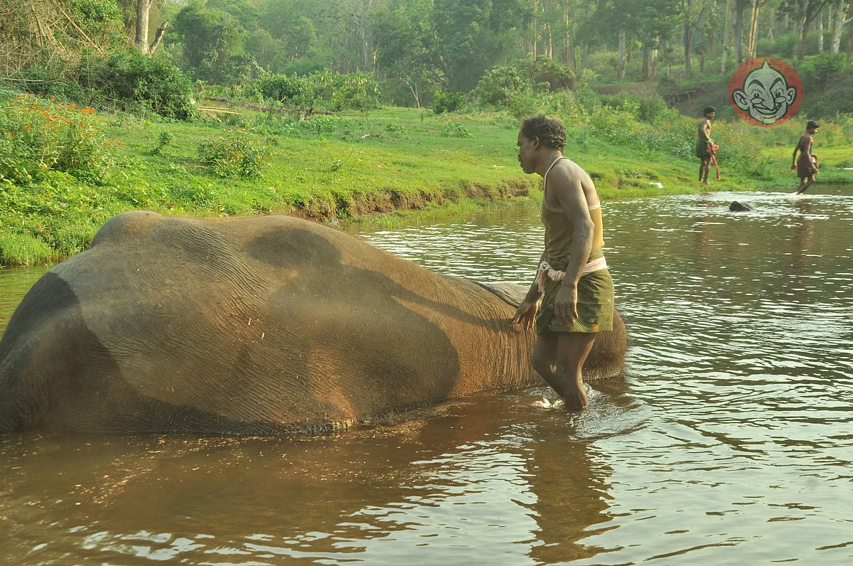 Kumki