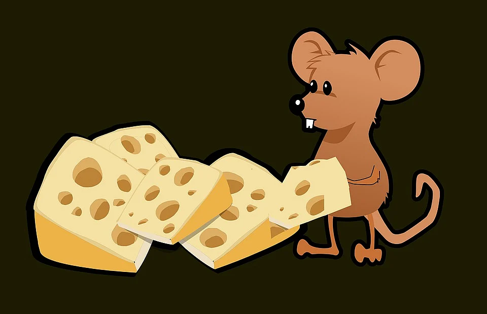 rat