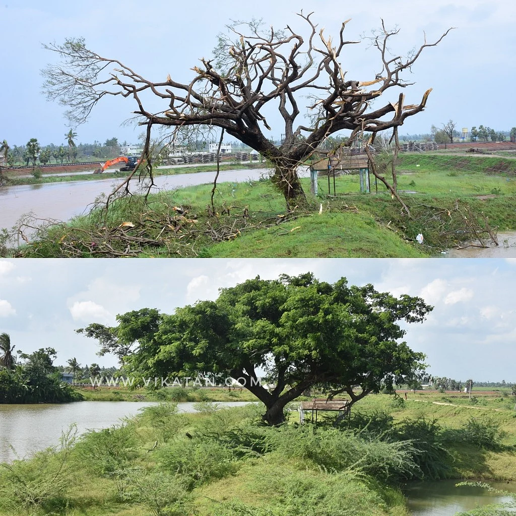 திருத்துறைபூண்டி