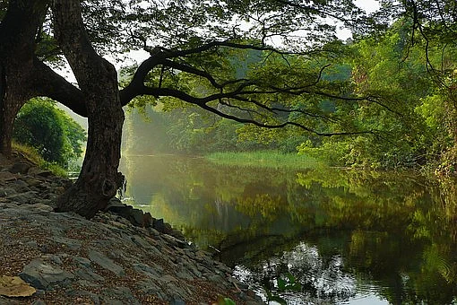 Representational Image