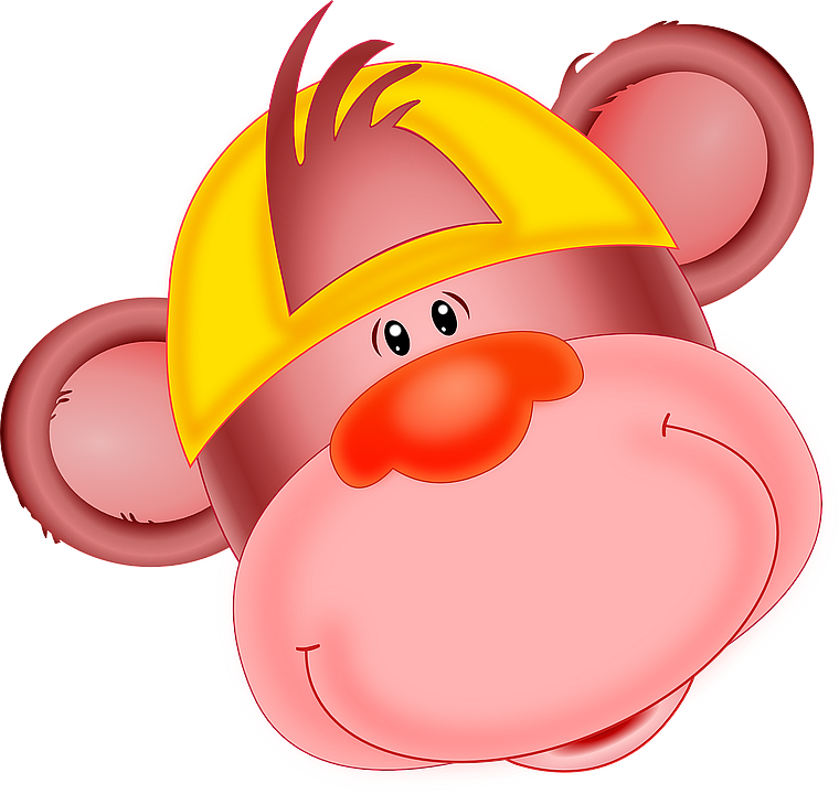 monkey