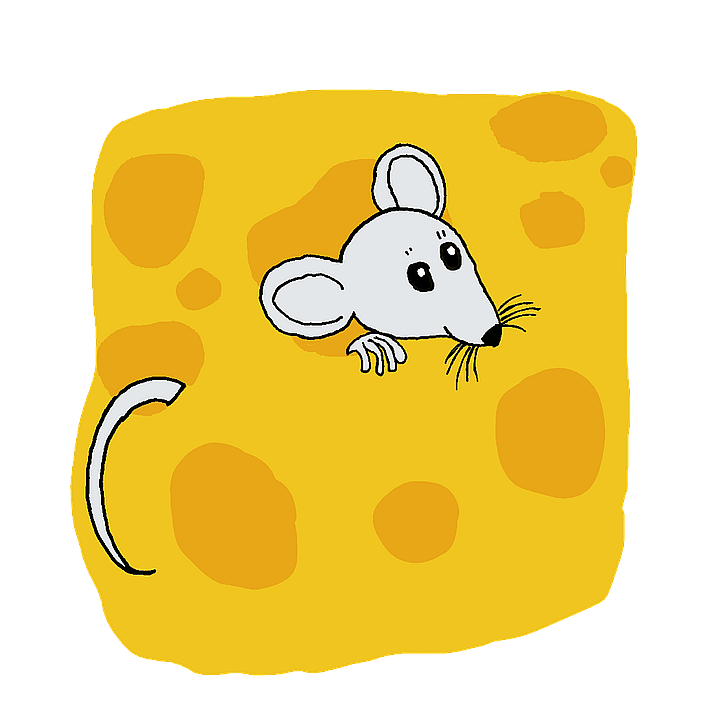 rat