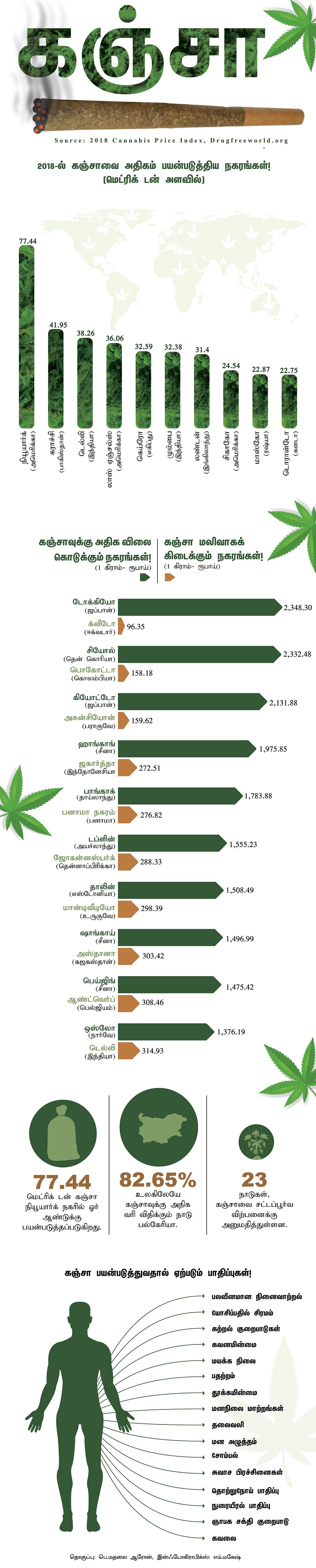 Cannabis Infographics