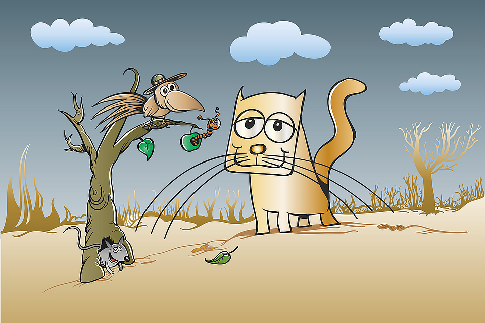 cat