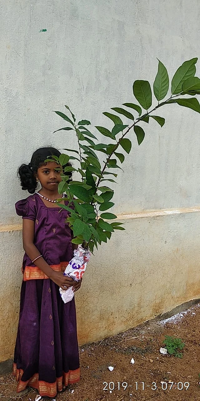 சீத்தாப்பழ செடியோடு மோனிகா