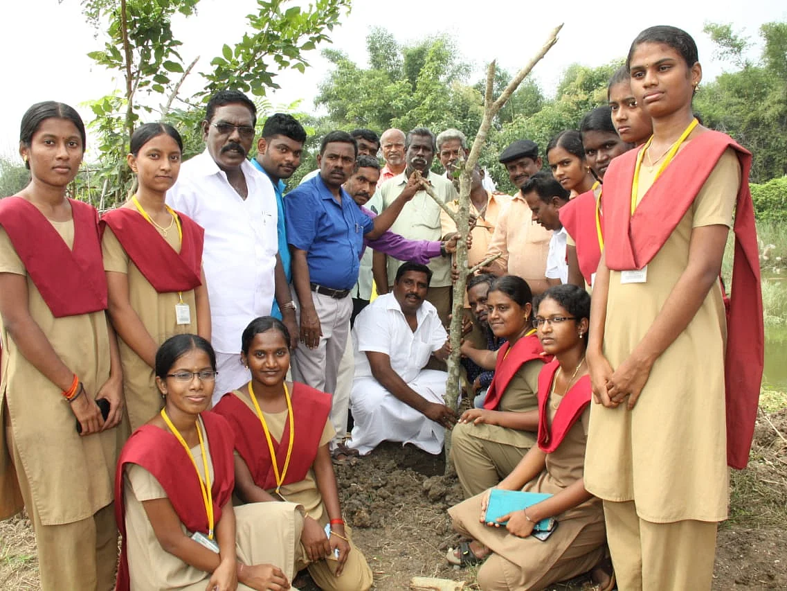 `800 பேர்; 4 மணி நேரம்!’- நீடாமங்கலம் தொடங்கி மன்னார்குடி வரை நீண்ட மர போத்து நடவு
