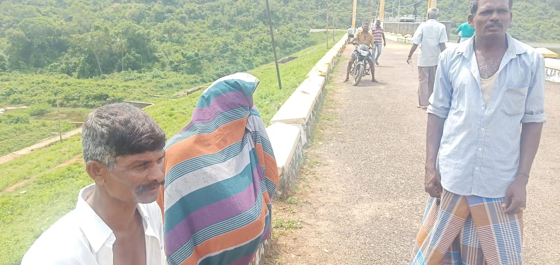 தேனீ தாக்குதல்