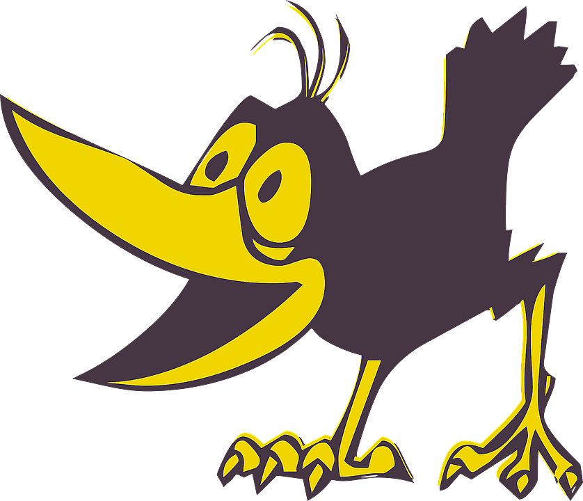 crow