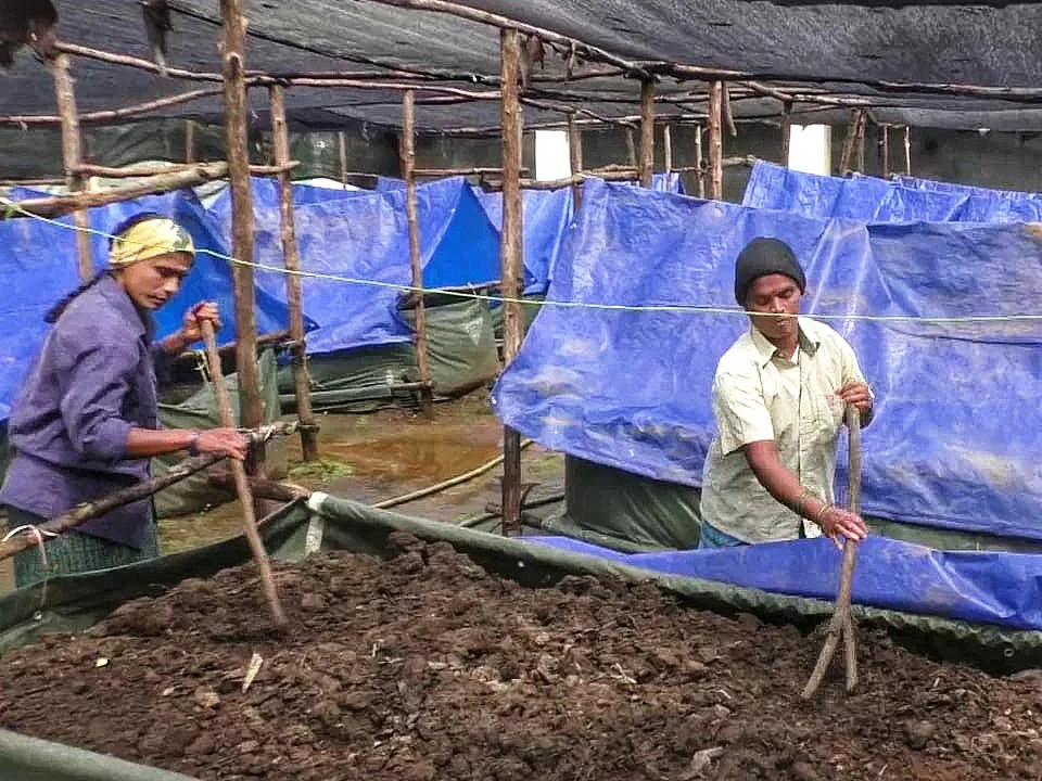 `12,000 லிட்டர் பஞ்சகவ்யம்; 50 டன் மண்புழு உரம்!'- ஊட்டி தோட்டக்கலைத் துறையின் புதிய முயற்சி