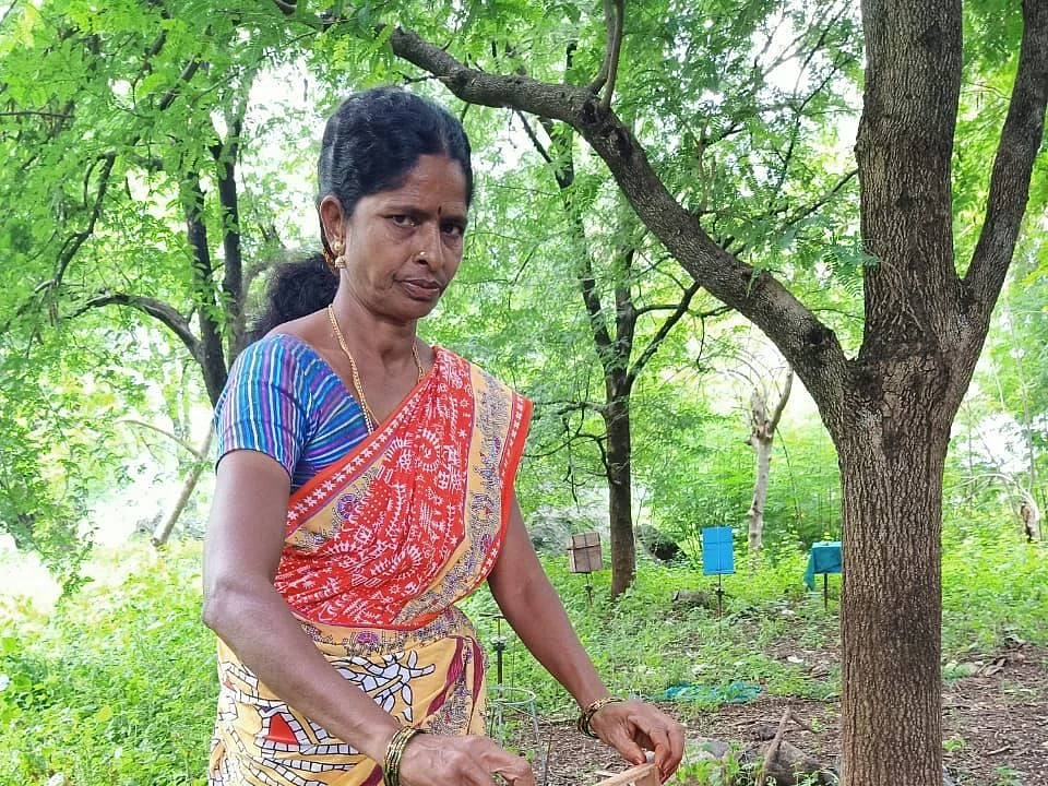 மத்திய அரசின் தேனீ வாரியத்தில் உறுப்பினரான முதல் தமிழ்ப் பெண்! - யார் இந்த ஈரோடு மஞ்சுளா?