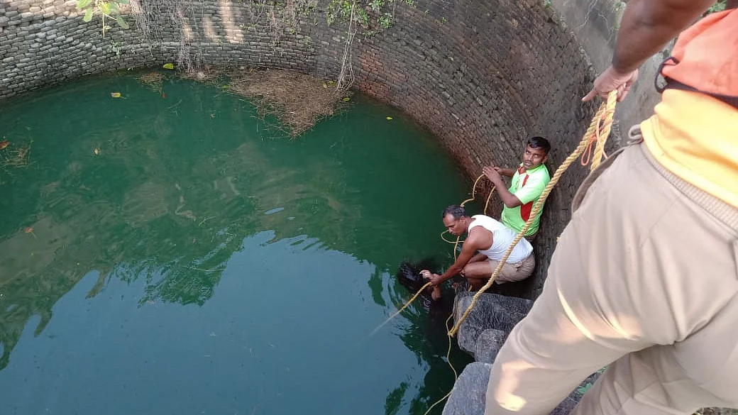 மெர்சியின் உடல் மீட்பு