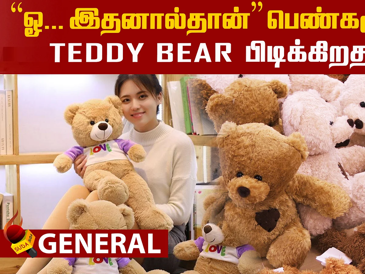 Why do girls like Teddy Bear?