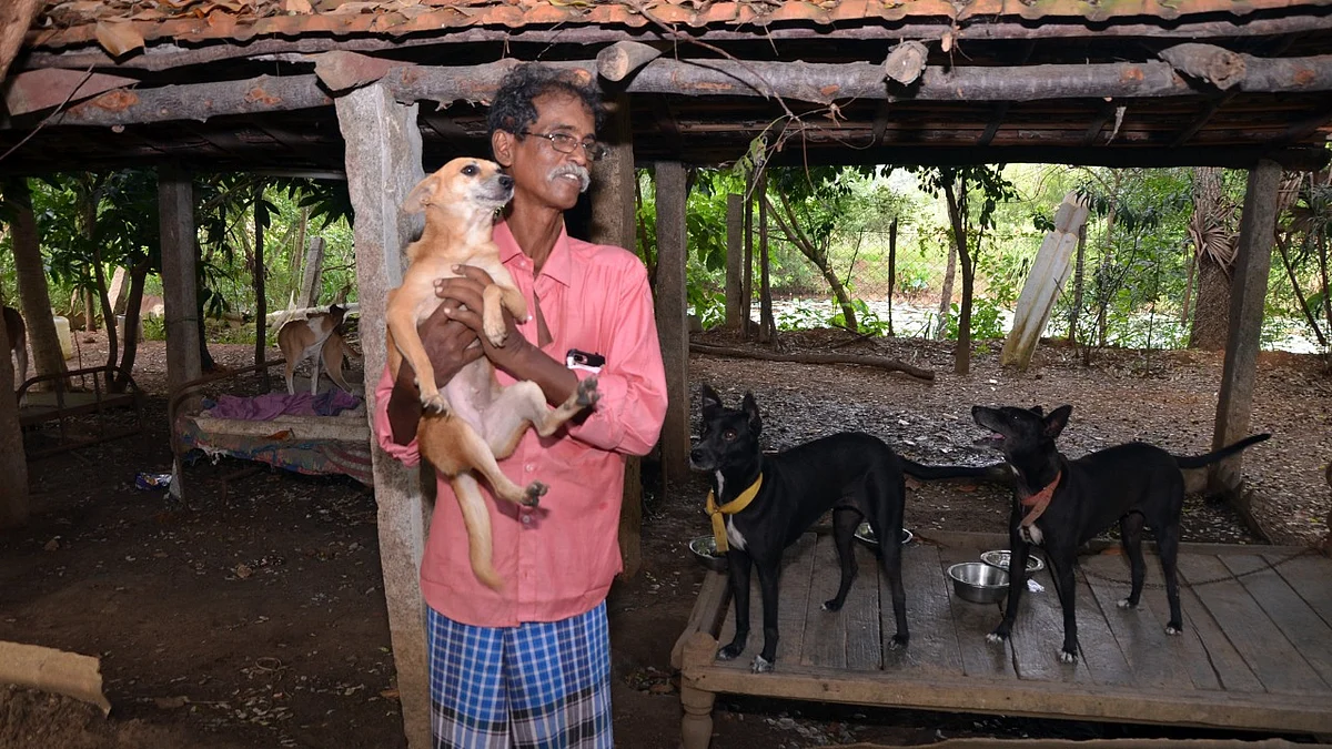 செல்ல நாய் கூலியுடன் தம்பிமணி