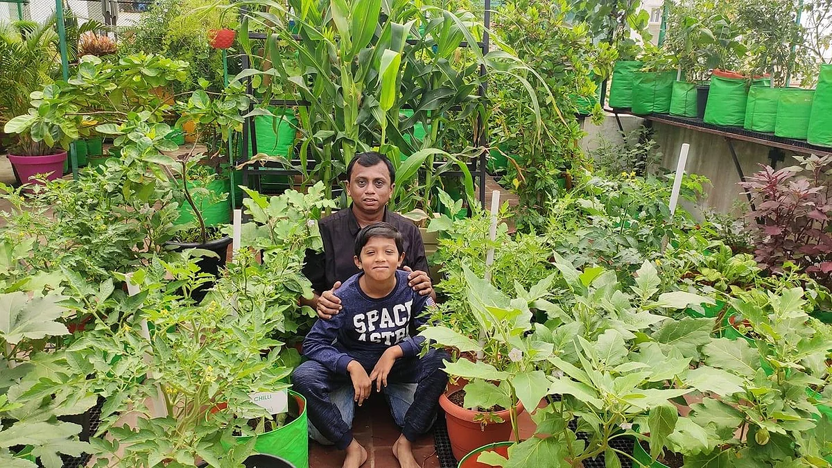 terrace garden