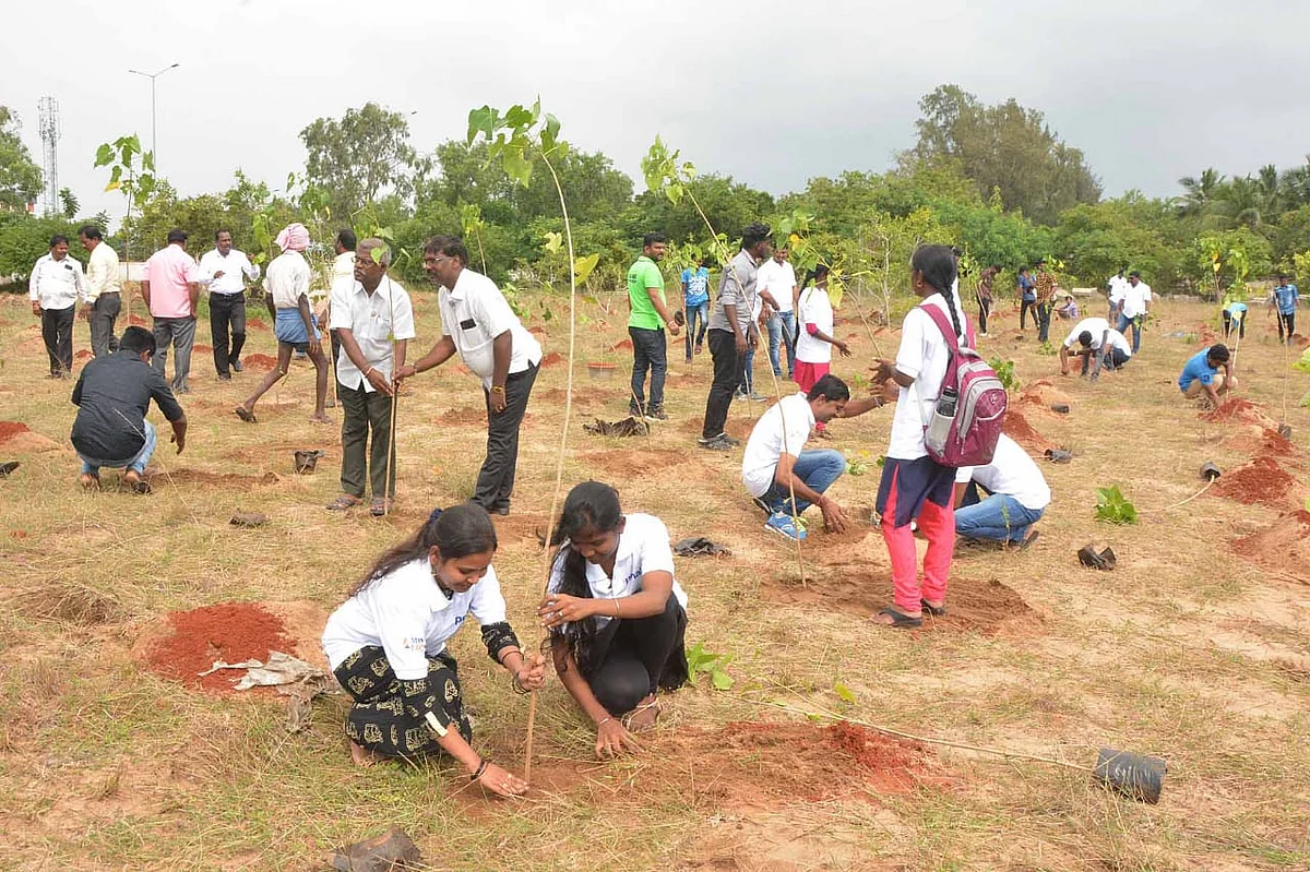 மரக்கன்று நடும் பணியில் இளைஞர்கள்