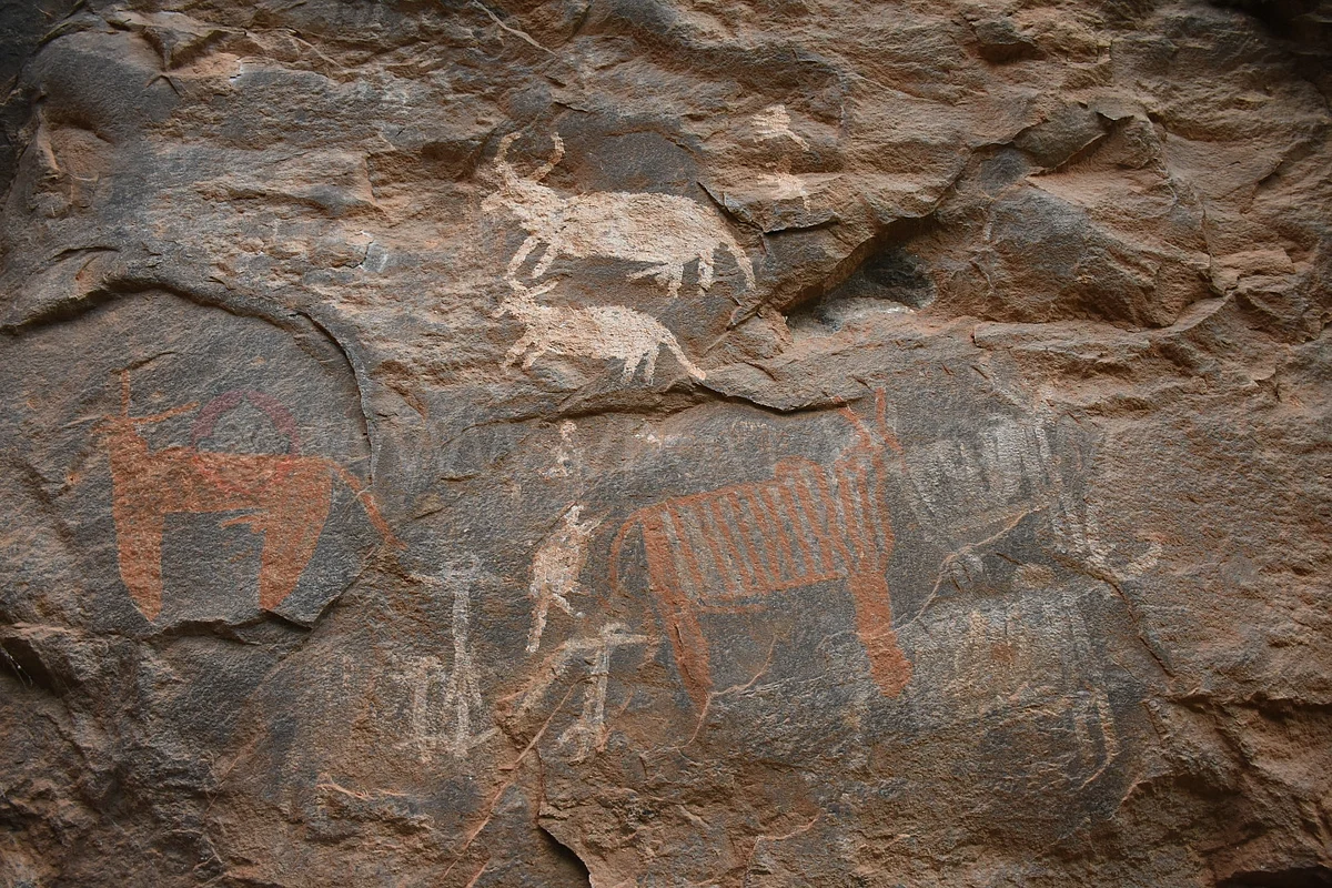 கரிக்கையூர் காடுகளில் பாறை ஓவியங்கள்