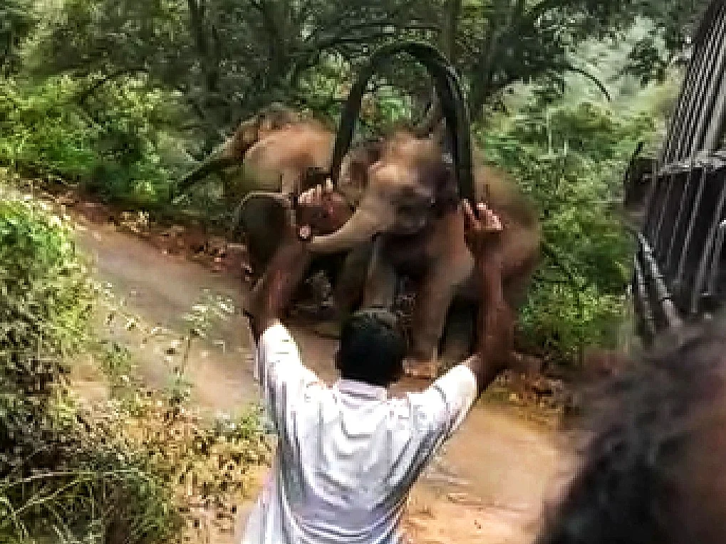 அட்டகாசம் செய்யும் சில மனிதர்கள்