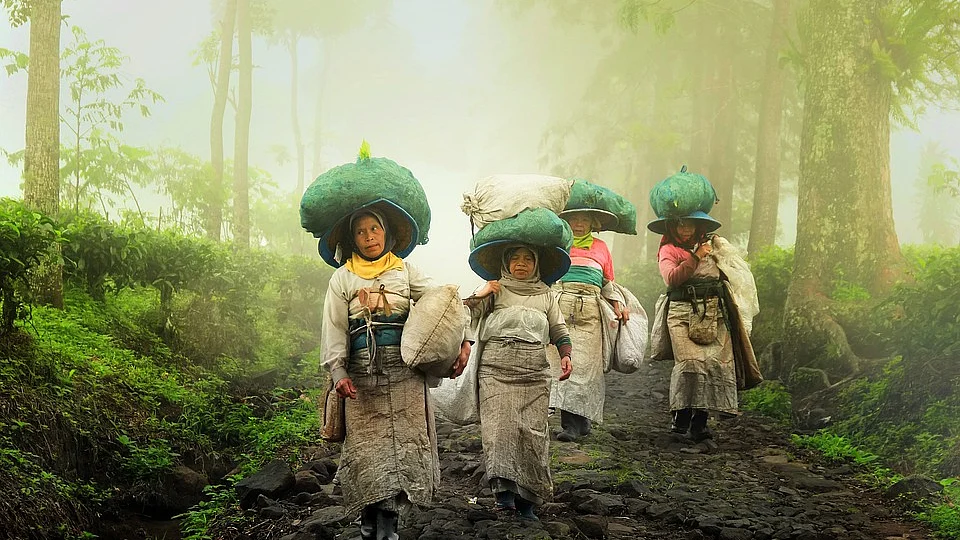 Representational Image