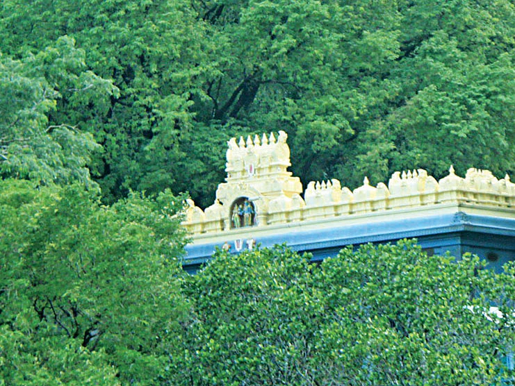 `புத்தாண்டை சிறப்பு சங்கல்பத்துடன் தொடங்குவோம்’ - மார்கழியில் தரிசிப்போம் மாலவன், நடராஜர் ஆலயங்களை!
