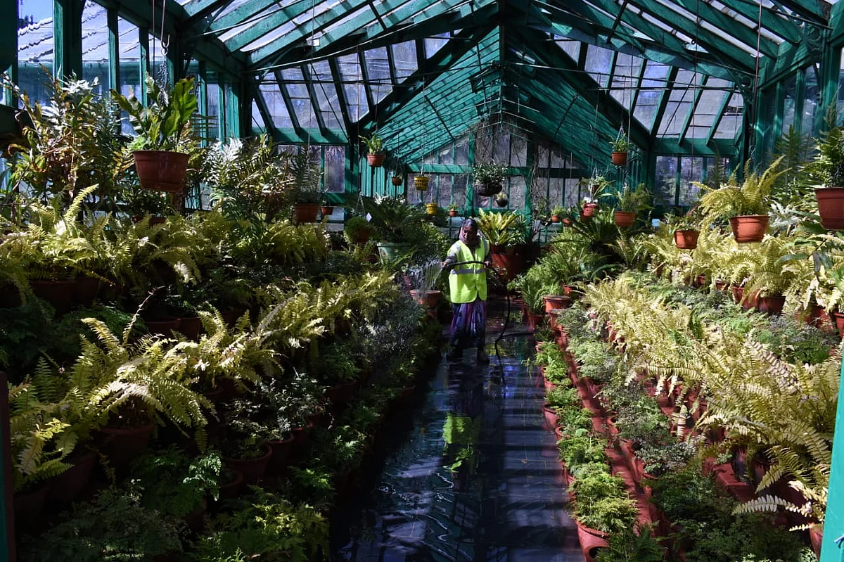 Ooty botonical garden