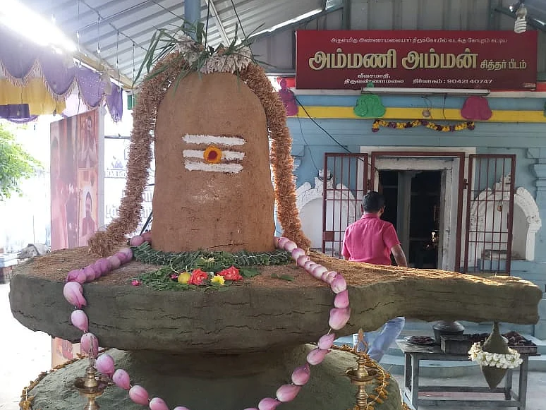 `சகல பிணிகளையும் தீர்க்கவல்ல மூலிகை லிங்க தரிசனம்'- சக்திவிகடன் சார்பில் திருவண்ணாமலையில்!