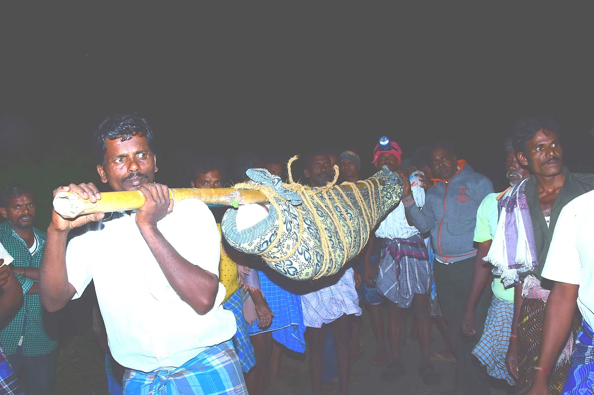 சடலத்தை டோலியில் தூக்கிச்செல்லும் அவலம்