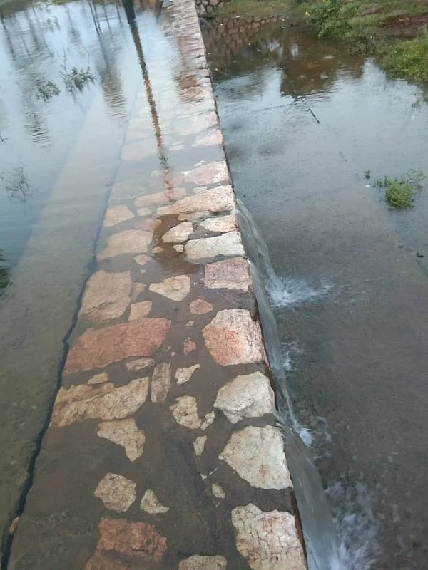 நிரம்பி வழியும் மானூர் பெரியகுளம்