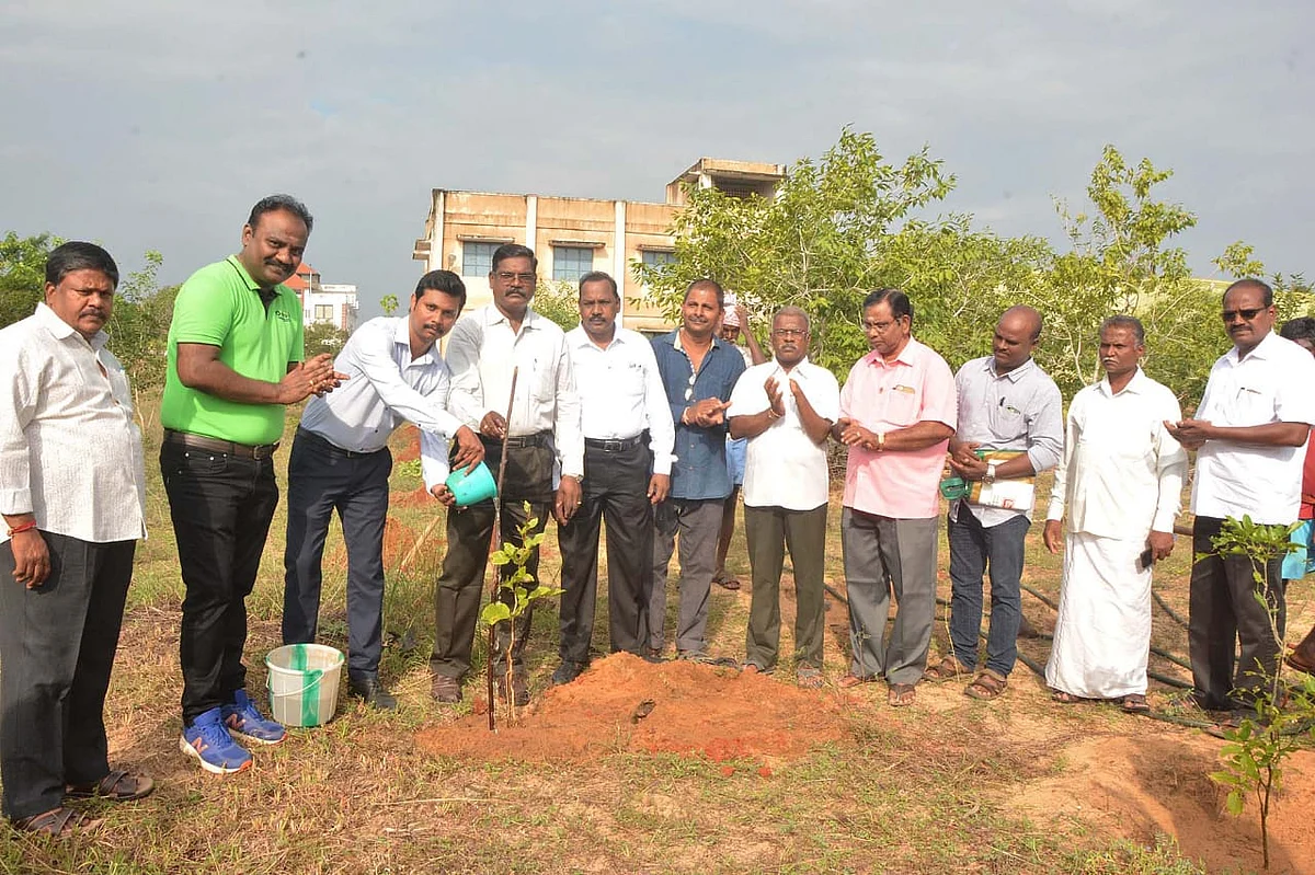 மாமல்லபுரம் சிற்பக் கல்லூரியில் மரம் நடுவிழா